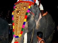 Utsavam 2010